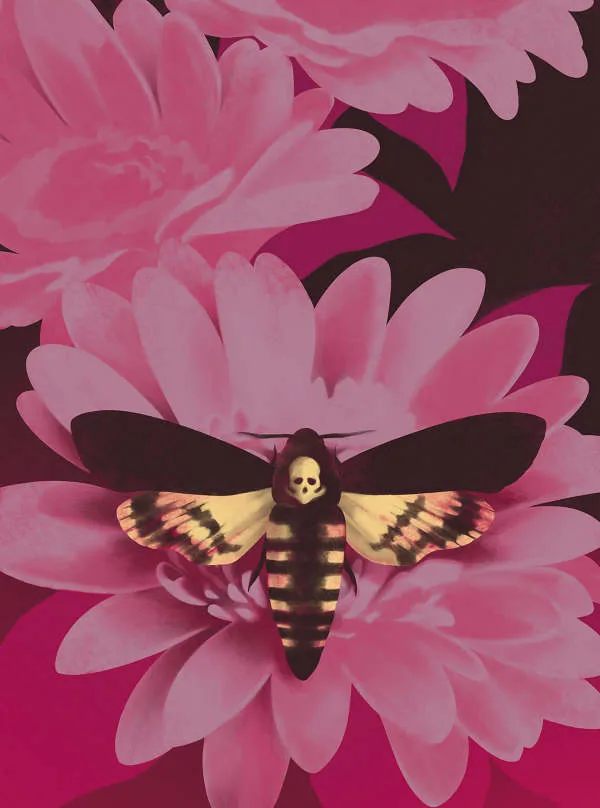 Query naturale – illustration by Benedetta C. Vialli